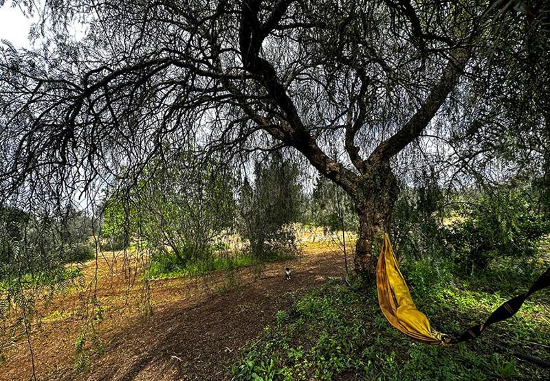 Salento Home Farm Bagnolo del Salento Eksteriør bilde